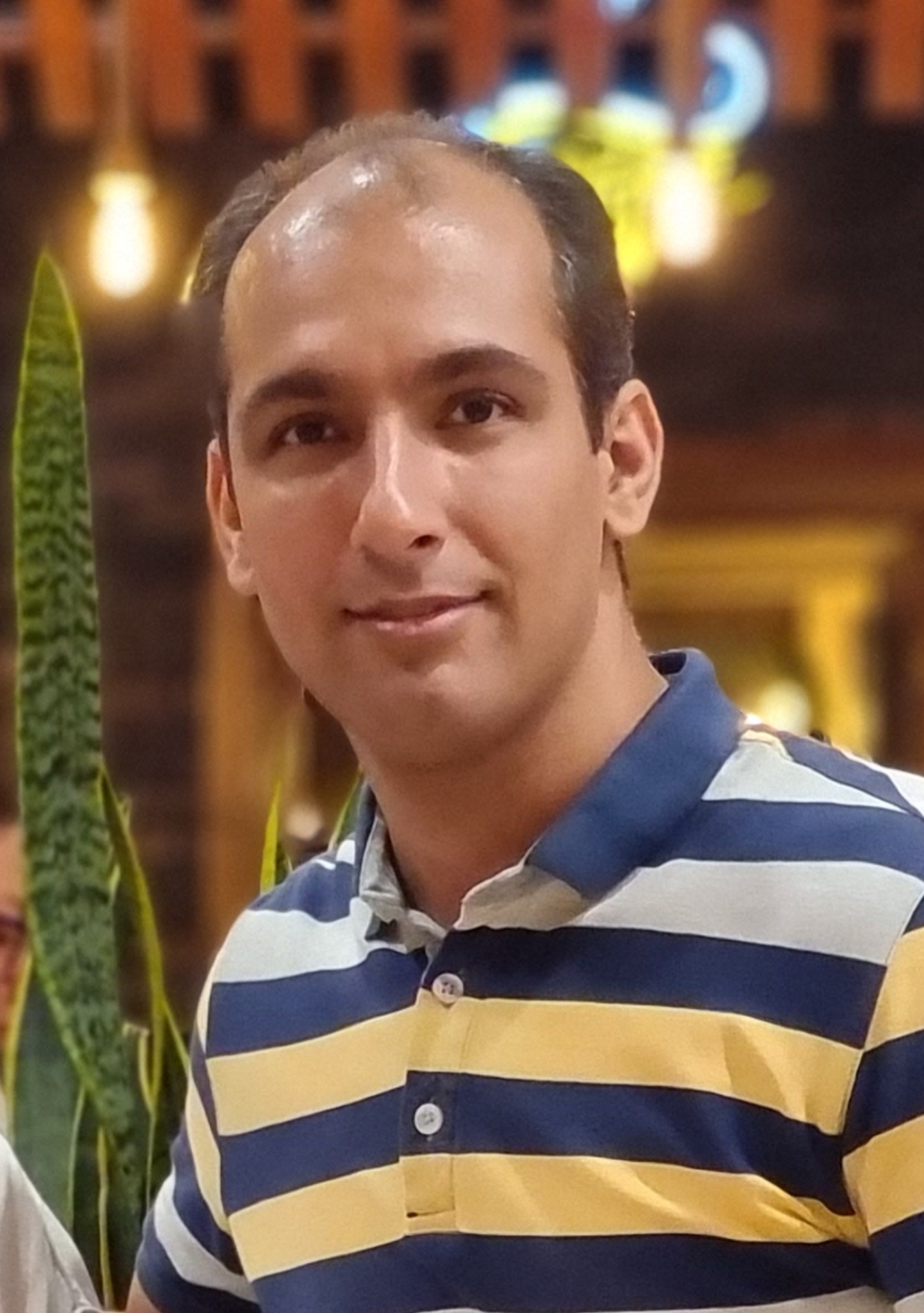 حمید محمدی