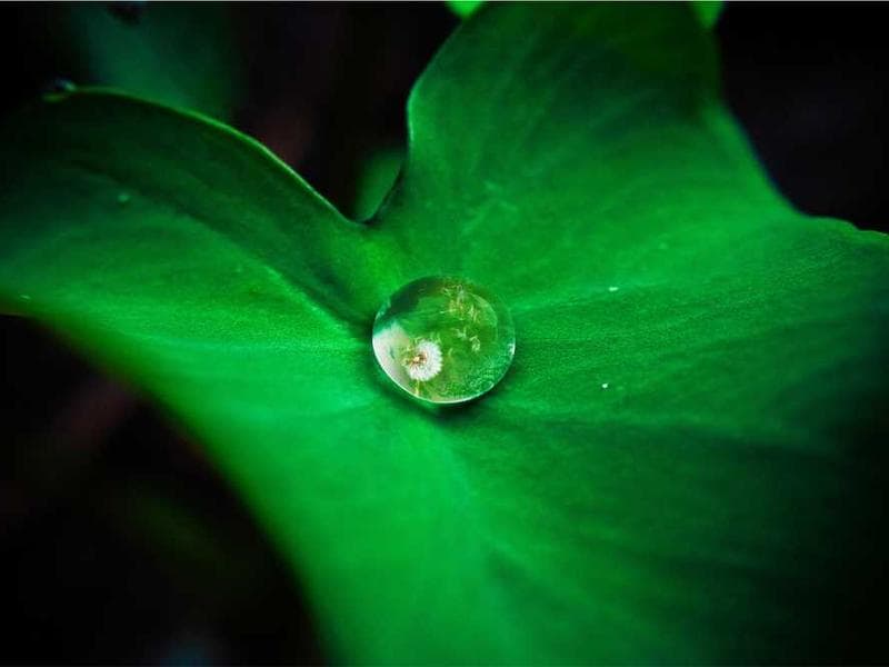 سرمایه‌ گذاری بلندمدت